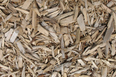 biomass boilers Skirbeck